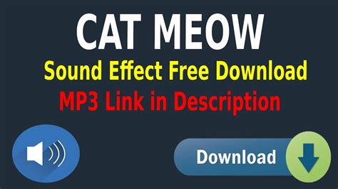 meow sound effect mp3